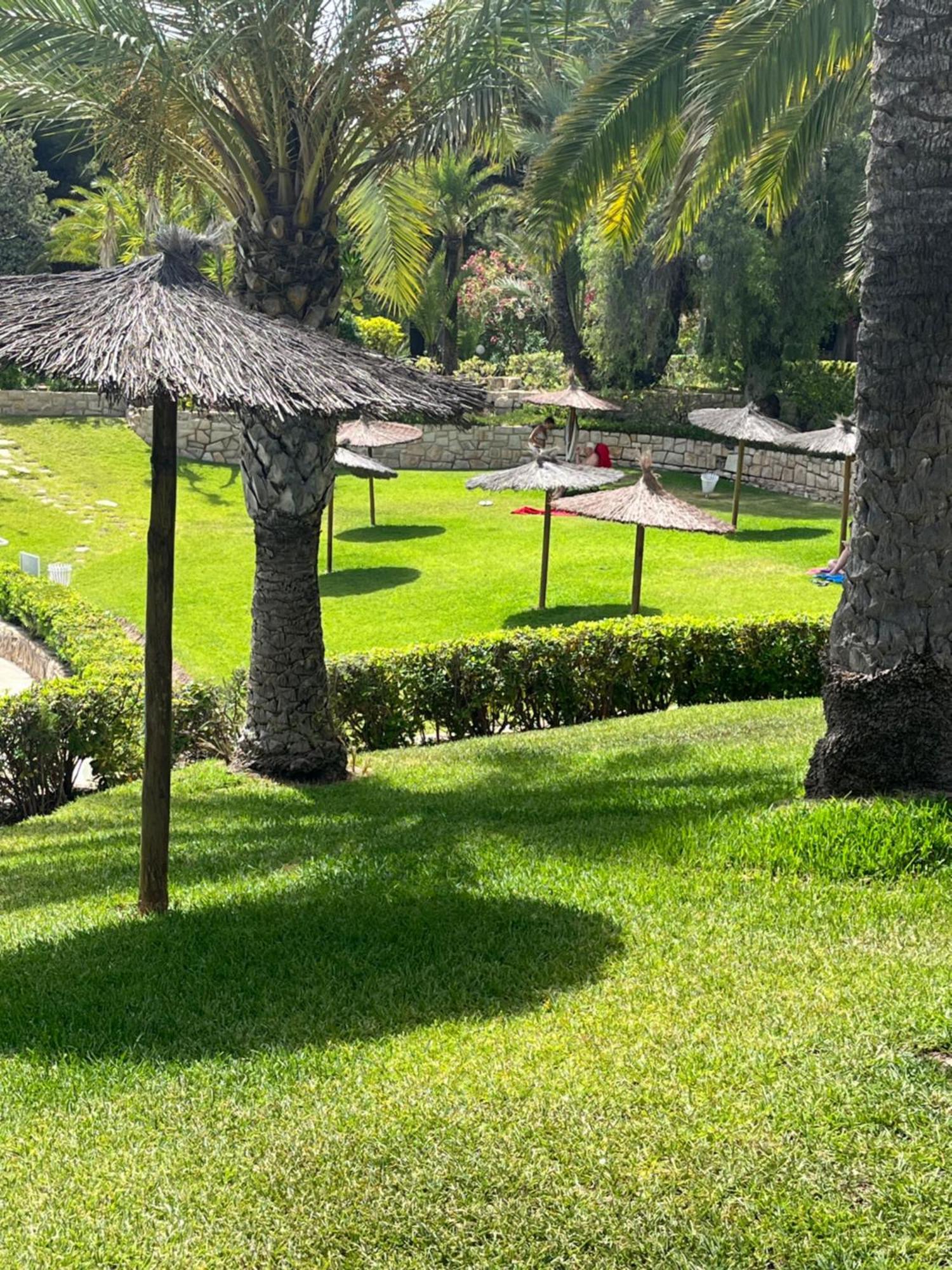 Parque La Chicharra Near Alicante And Beach Exteriör bild