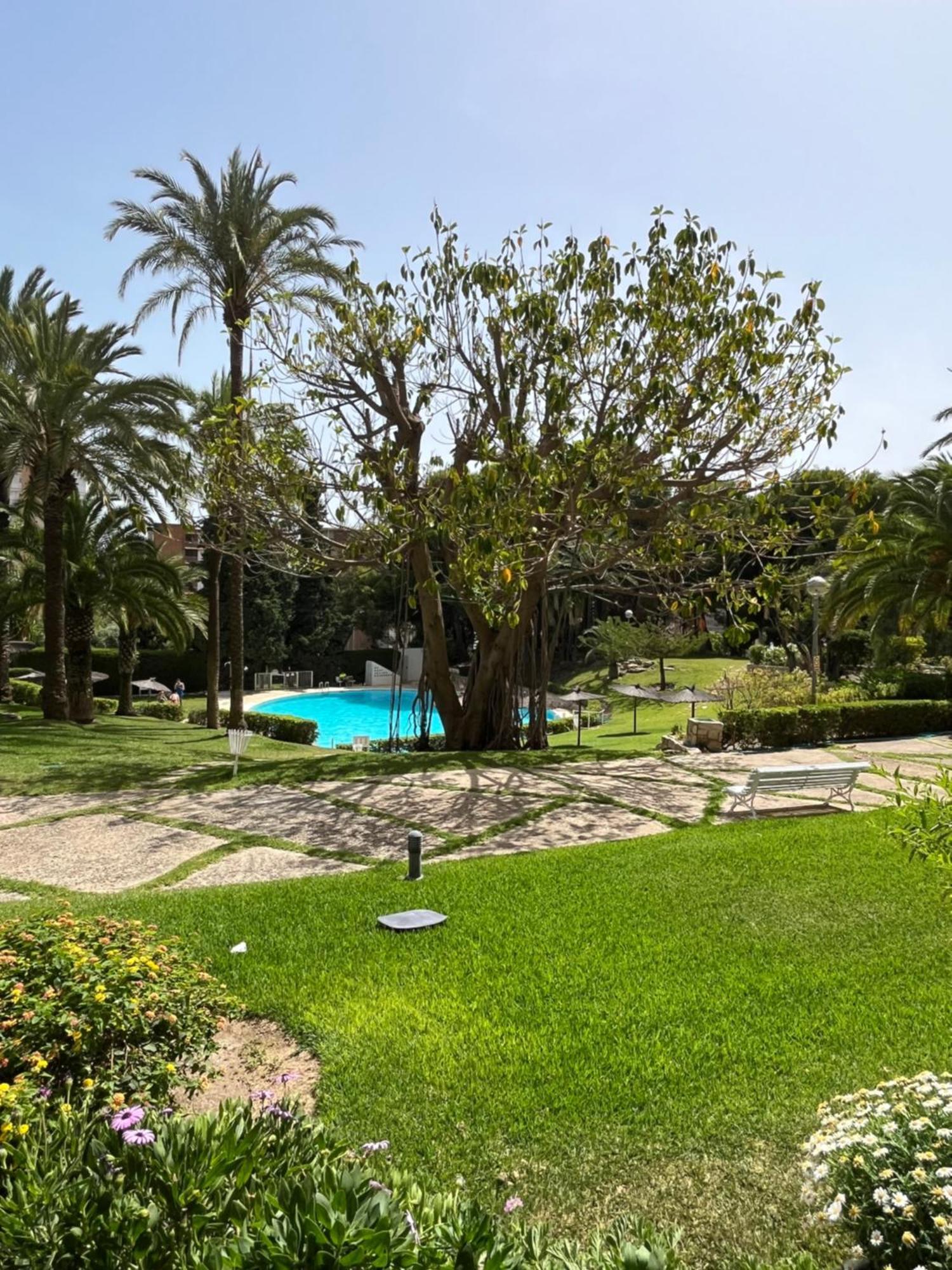 Parque La Chicharra Near Alicante And Beach Exteriör bild